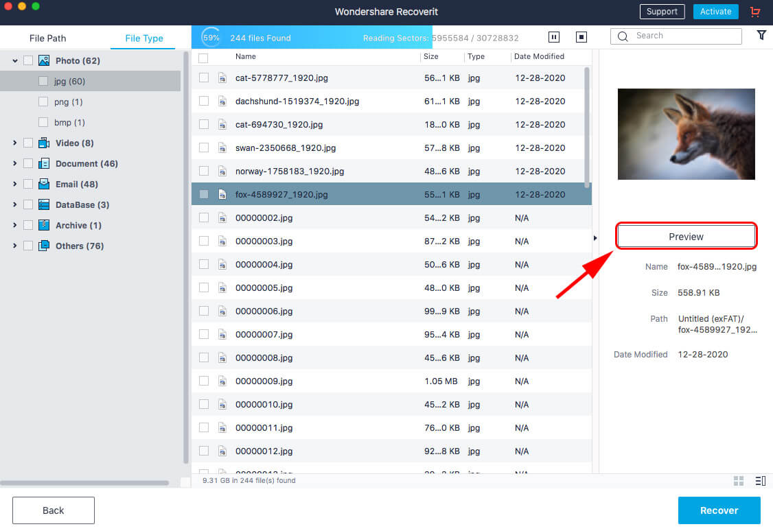 preview files recoverit