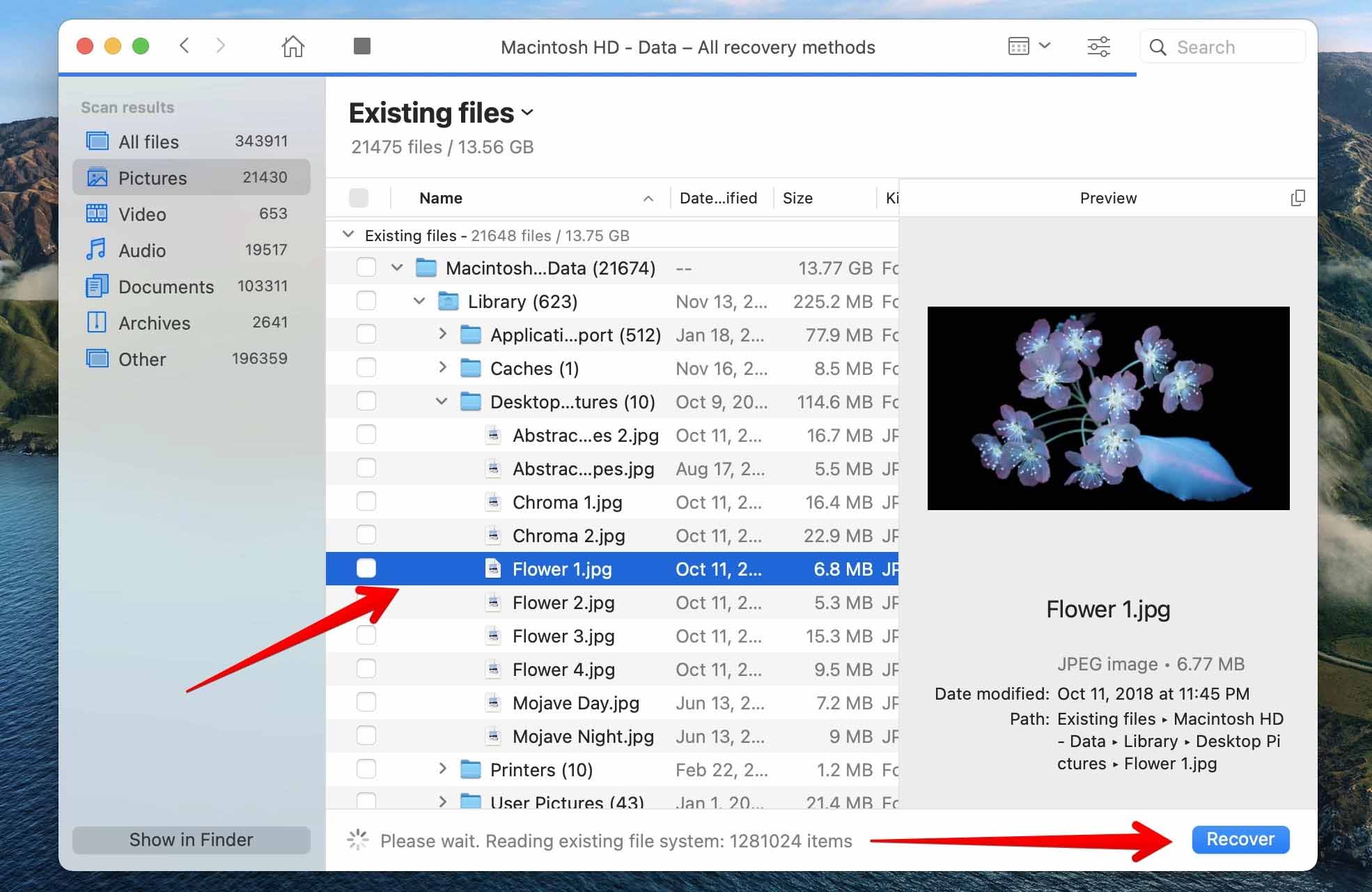 Select files to recover with Disk Drill