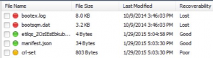 file recoverability status