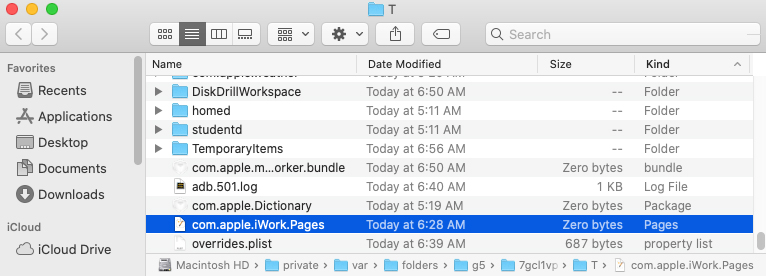 find pages folder in temp folder
