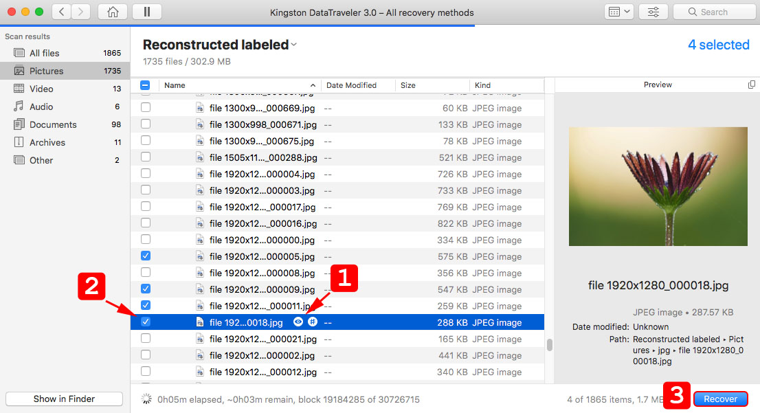 preview and recover files