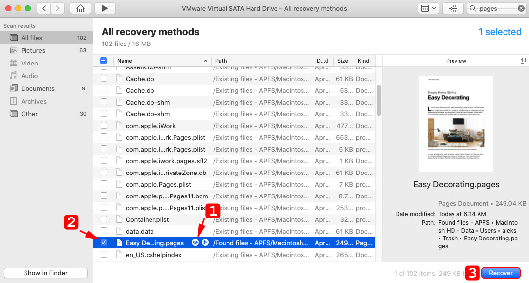 preview and recover pages file