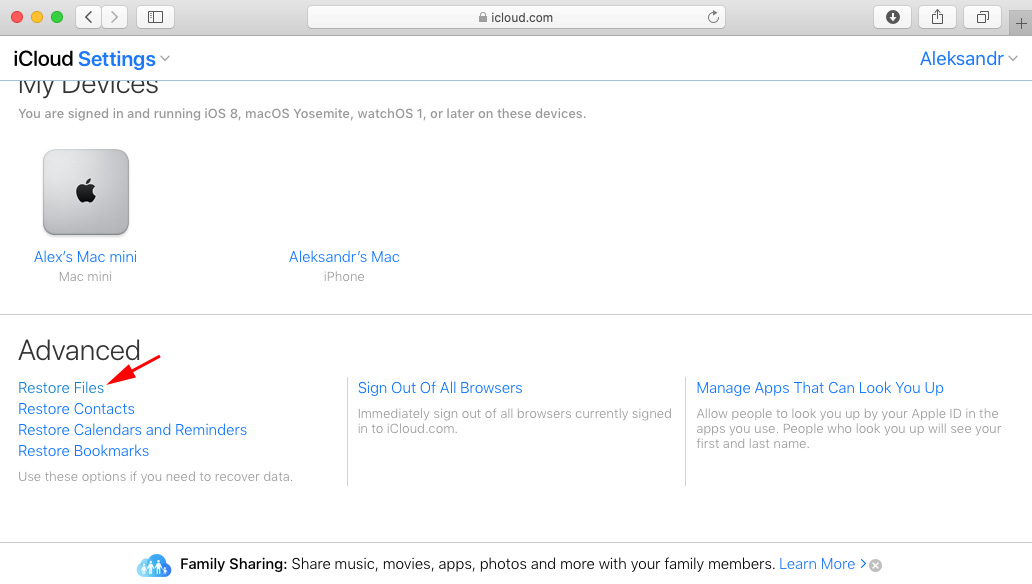 restore files from setting icloud