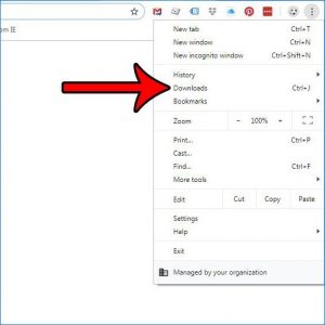 viewing recent downloads on chrome