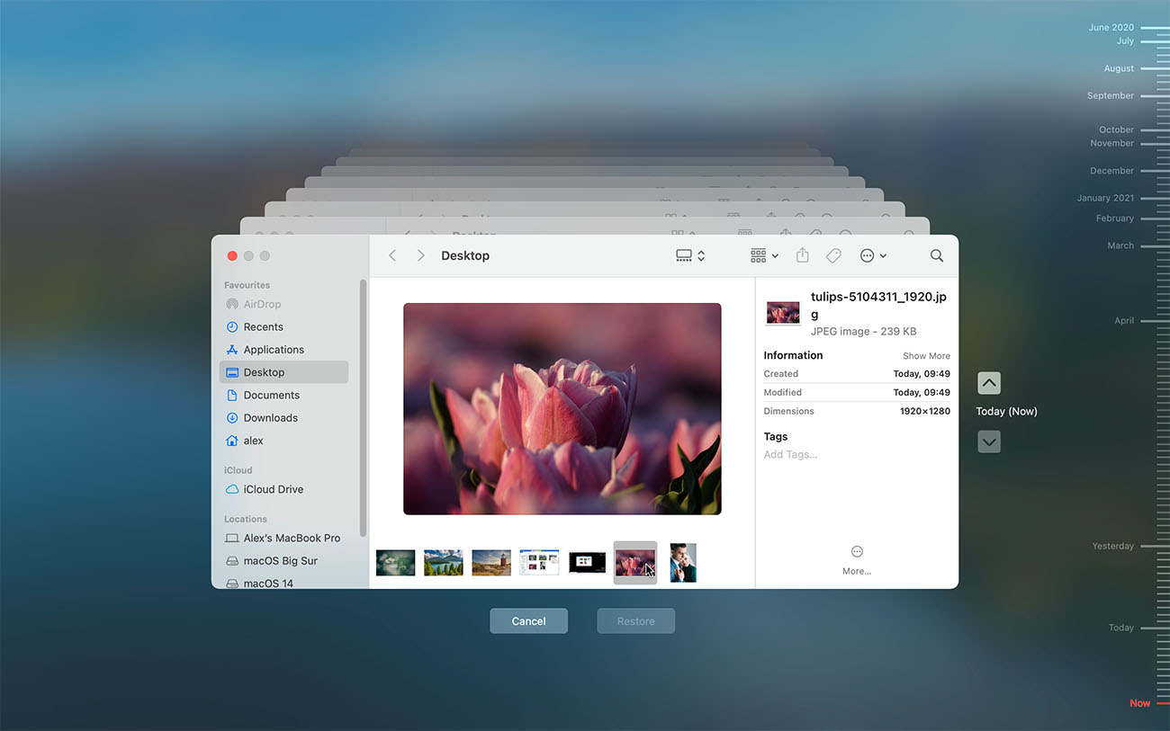 Check for Available Backups of SD Card Photos