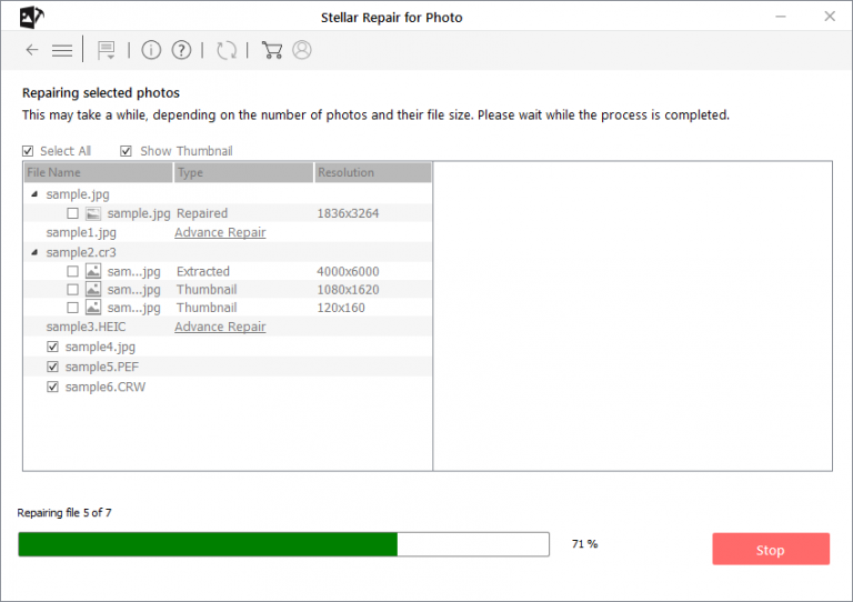 Stellar Photo Repairing File