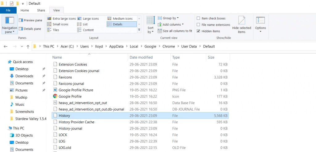 Chrome History File