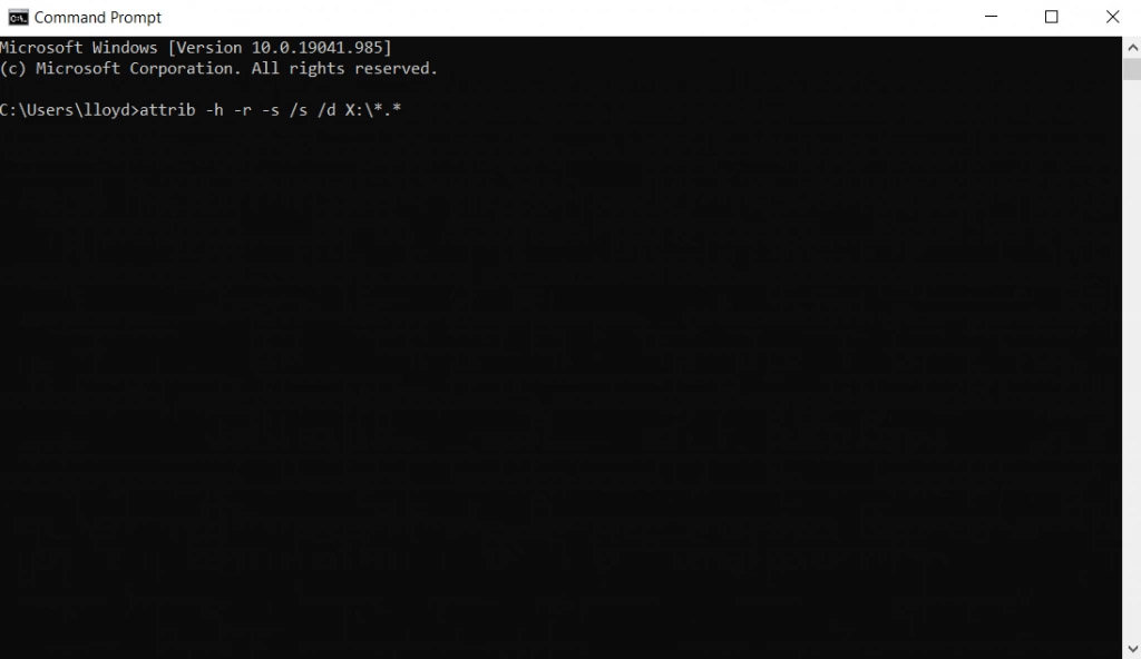 Command Prompt Attrib