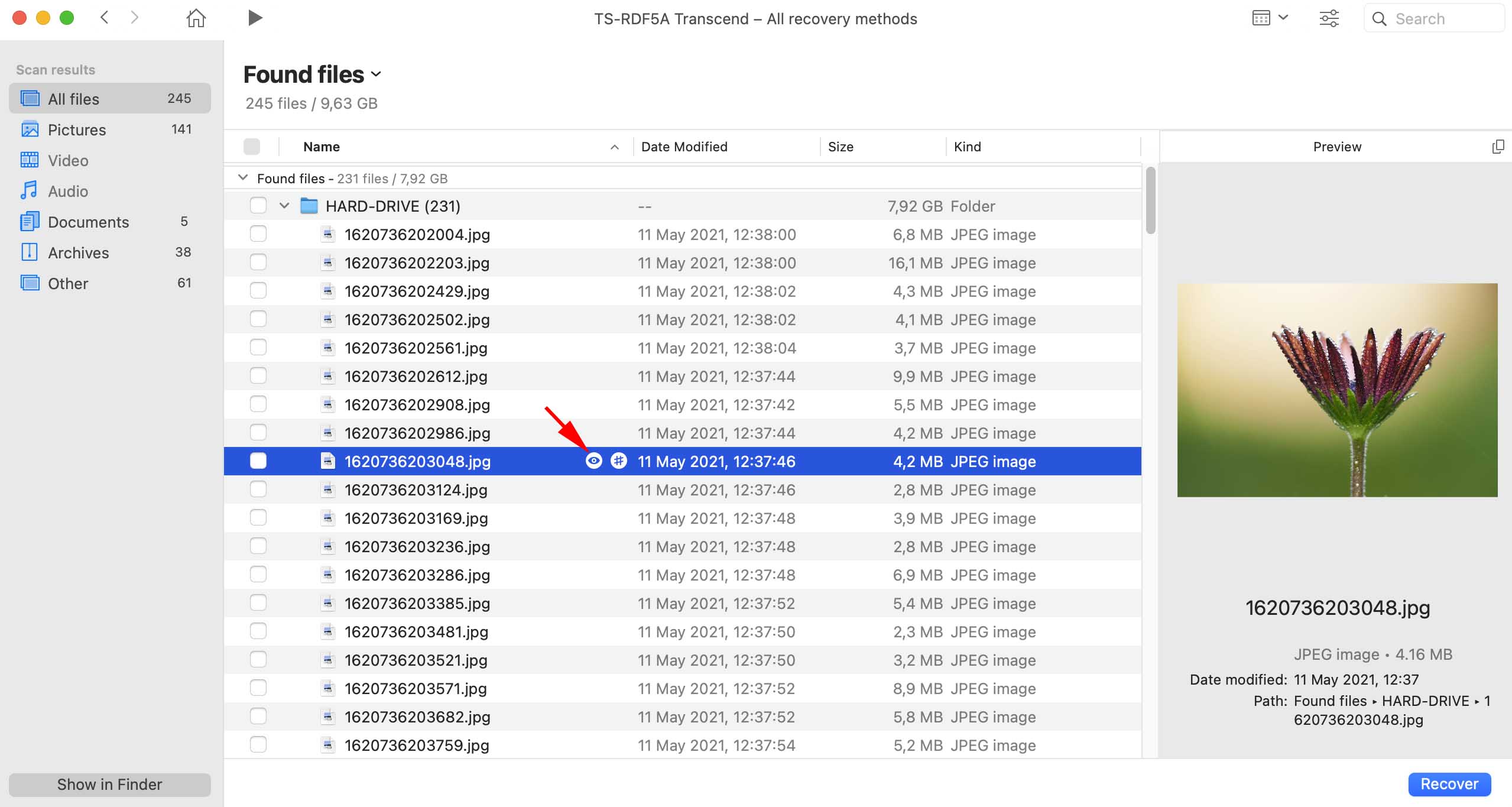 preview found files