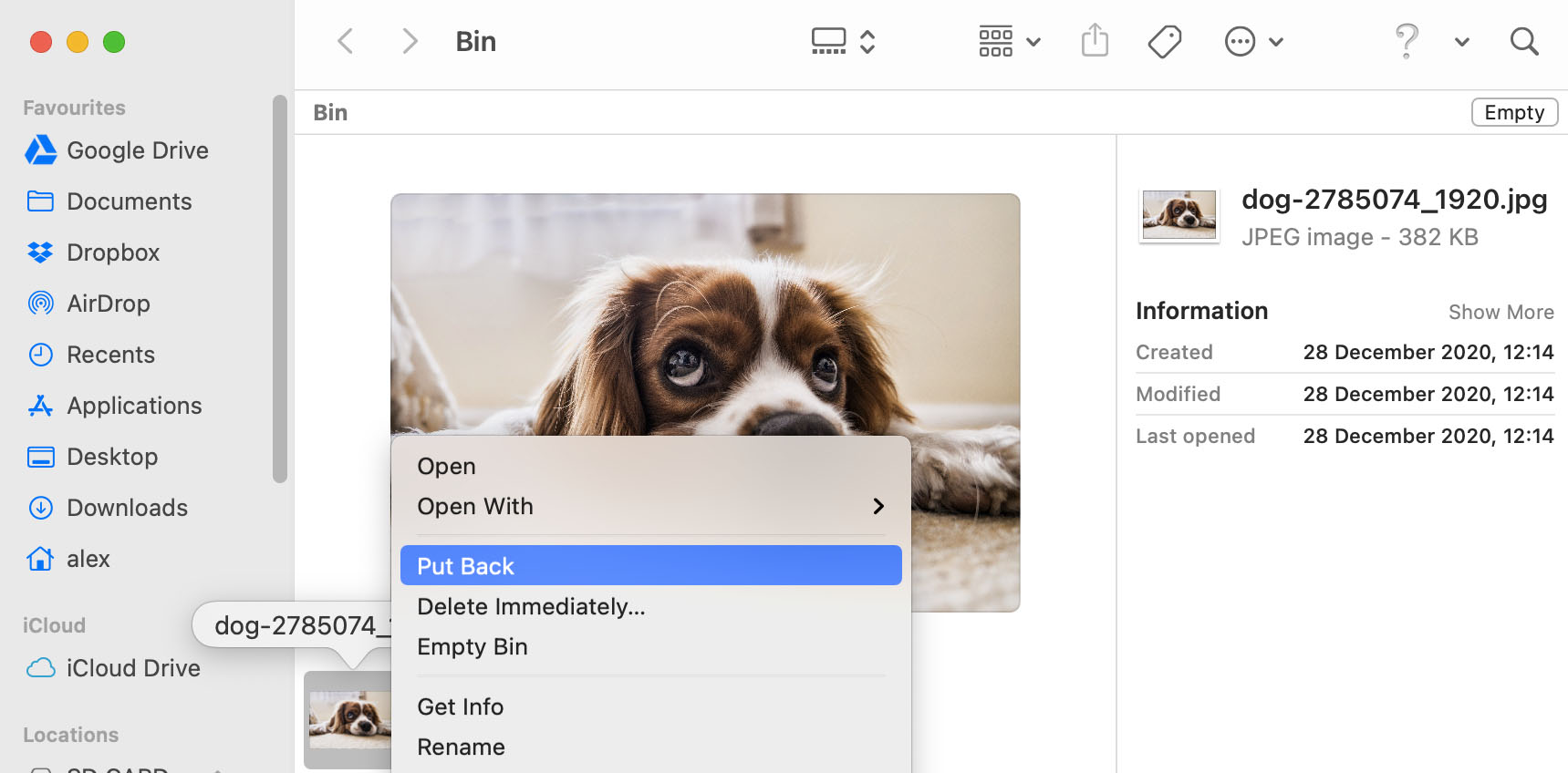 put back deleted files from trash bin mac