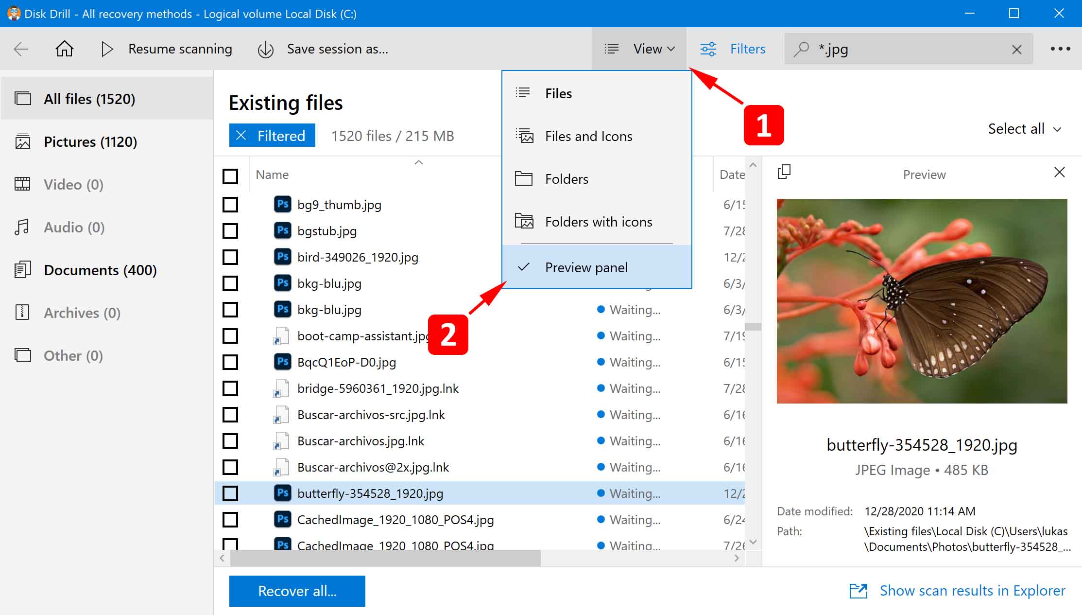 turn on preview panel in disk drill