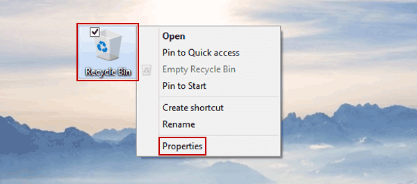 entering properties of recycle bin