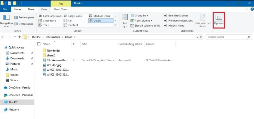 folder options in file explorer