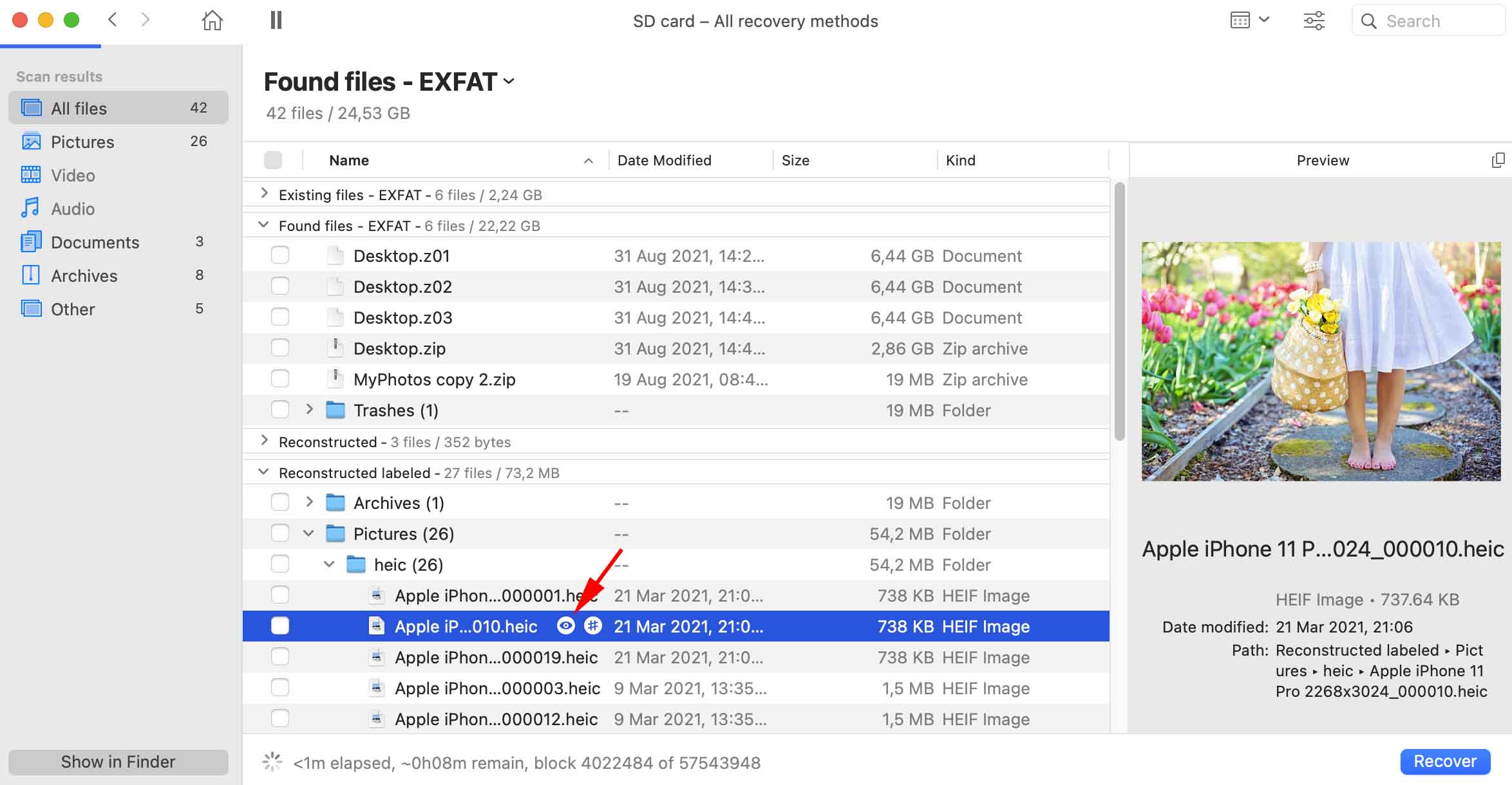 Preview the recoverable files