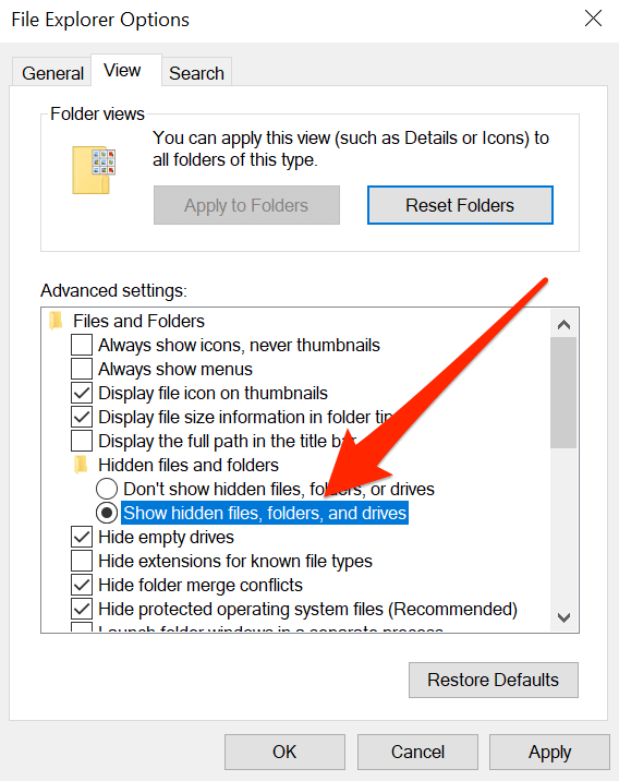 show hidden files in file explorer