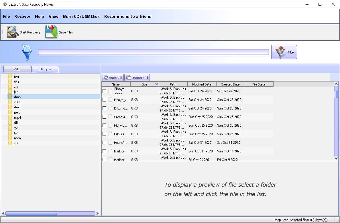 lazesoft data recovery process file type