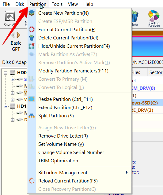 DiskGenius partition options