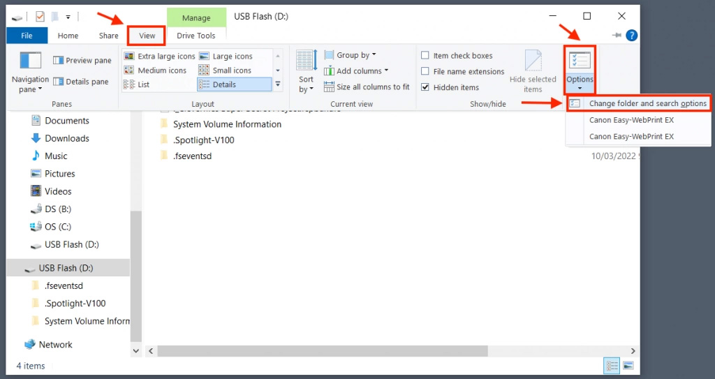Windows File Explorer View Options menu