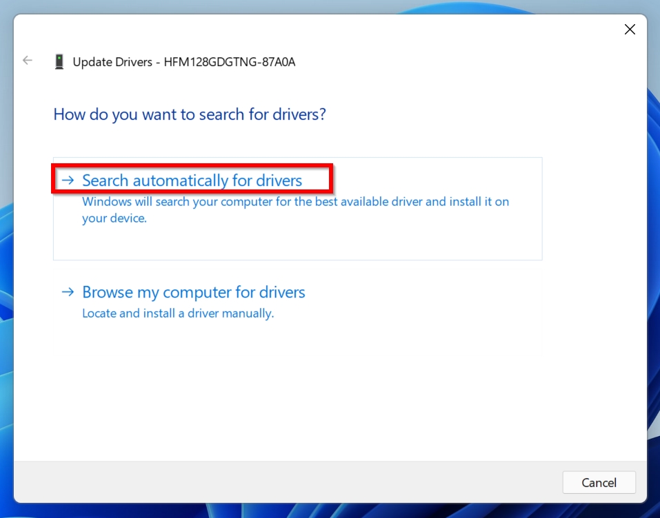 Driver Update prompt in Windows.