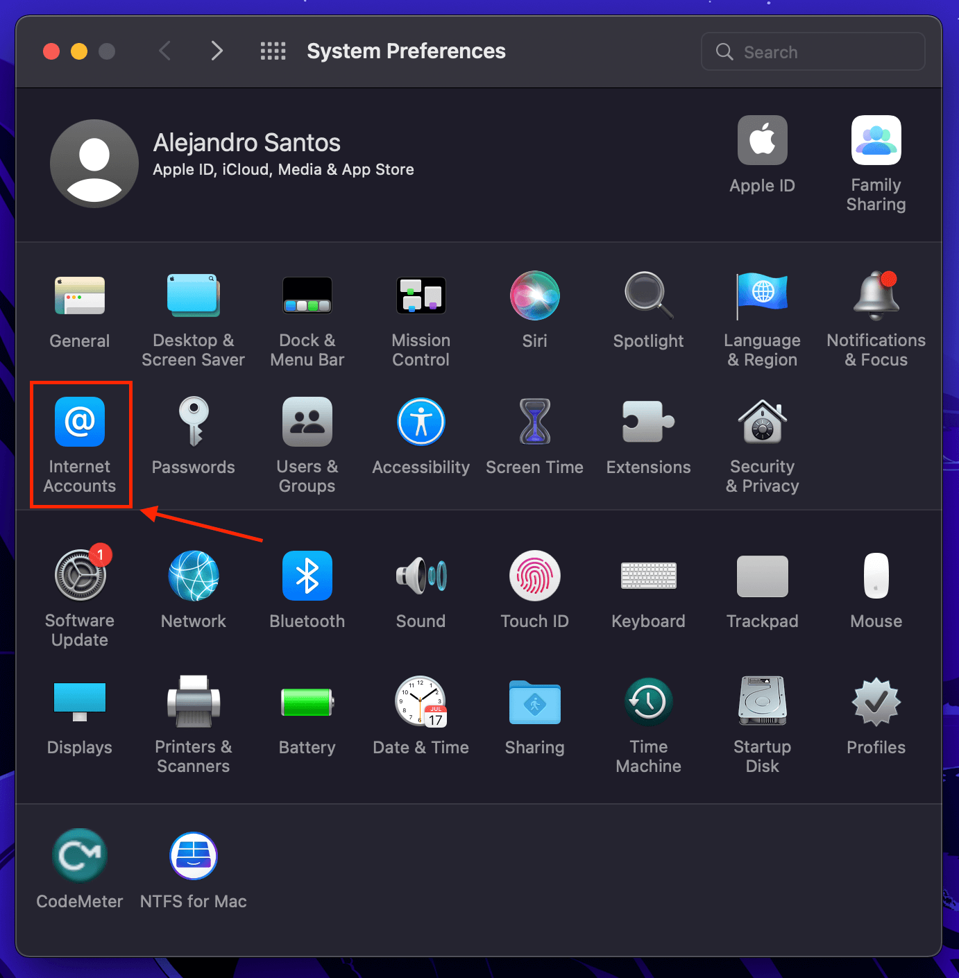 Internet Accounts app in the System Preferences window