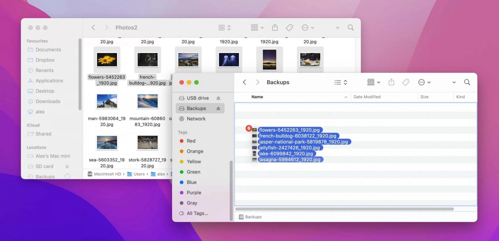 How to Recover Accidentally Emptied Trash on Mac (2024)