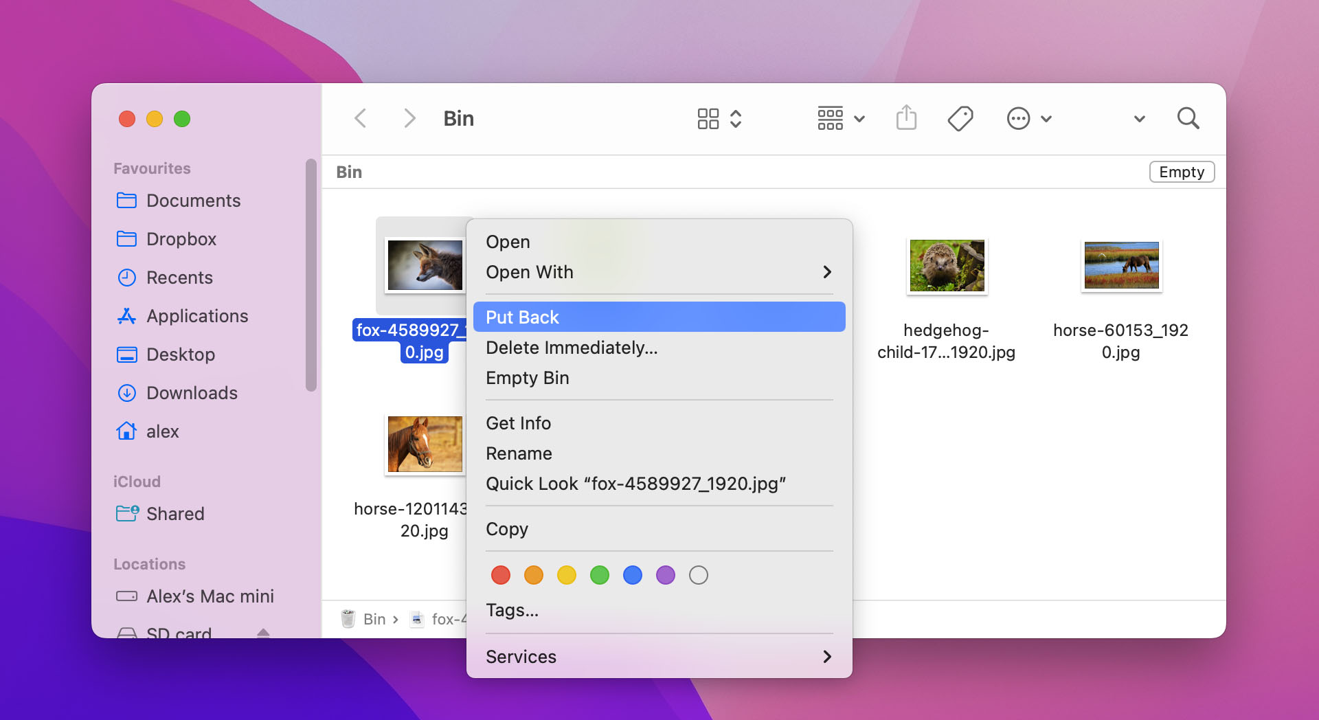 Putting back option in Mac Trash