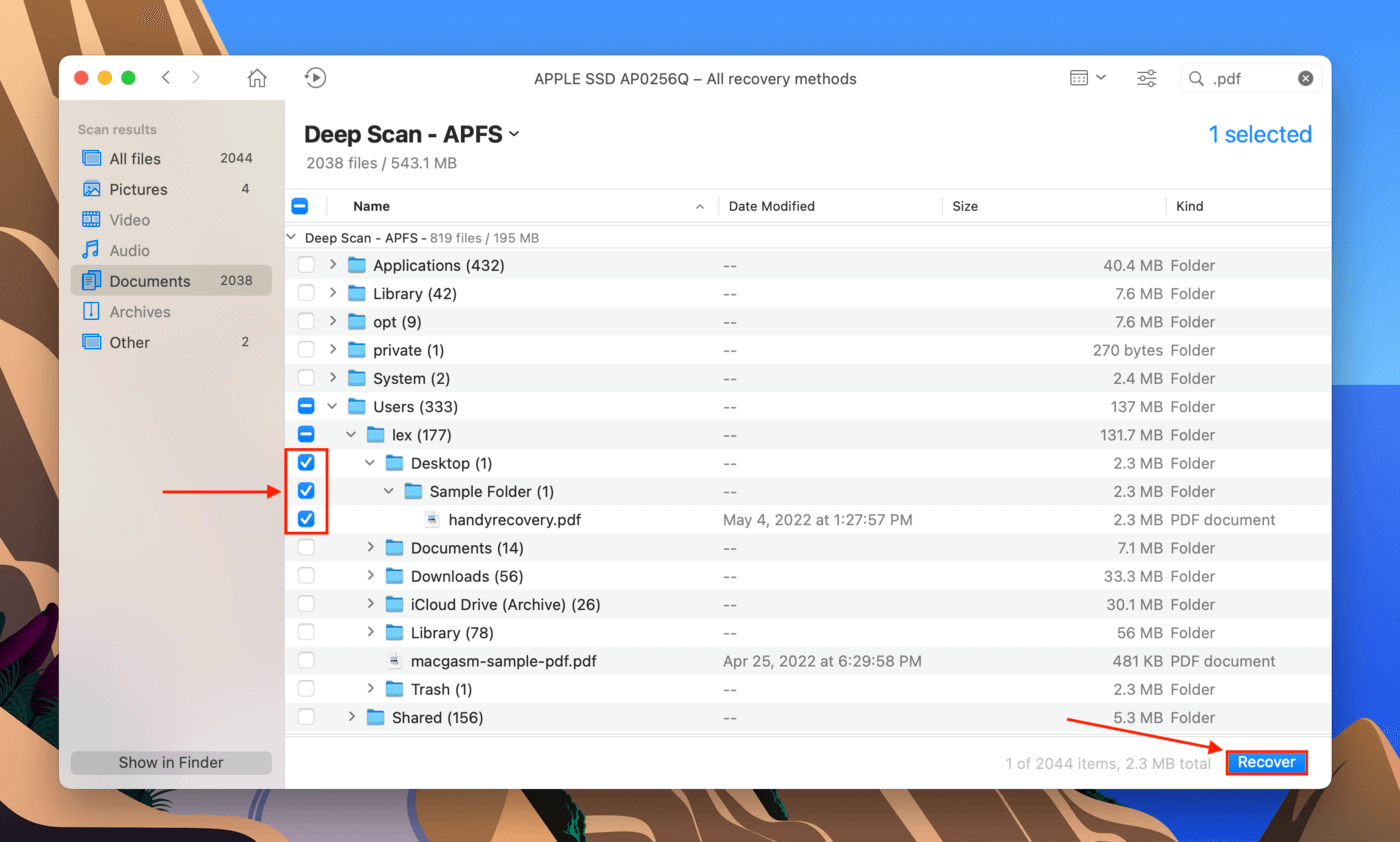 Disk Drill file selection column and Recover button