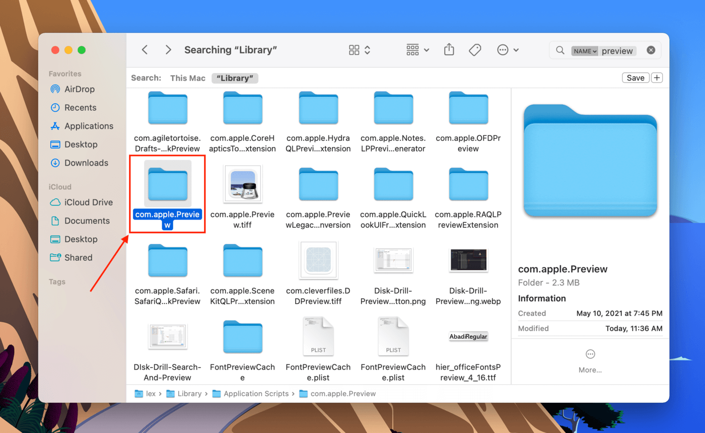 Preview autosave folder in the Library folder