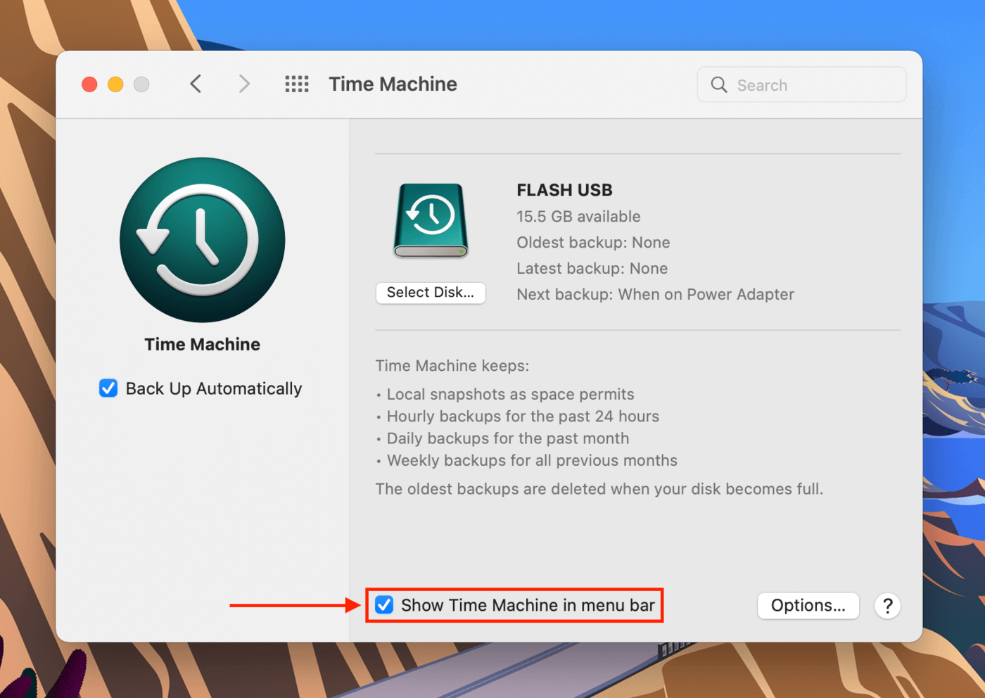 Time Machine settings window in System Preferences