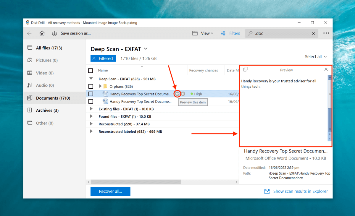 Disk Drill preview demo