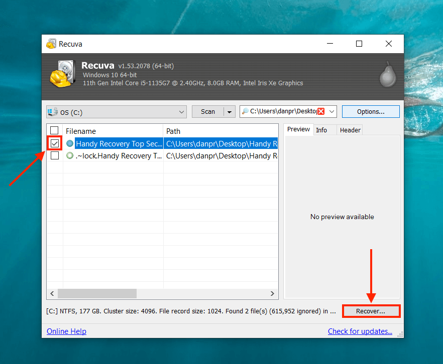 Recuva file selection functions