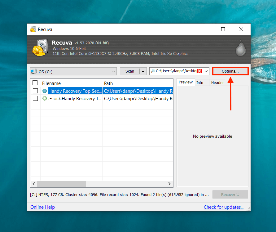 Recuva options button