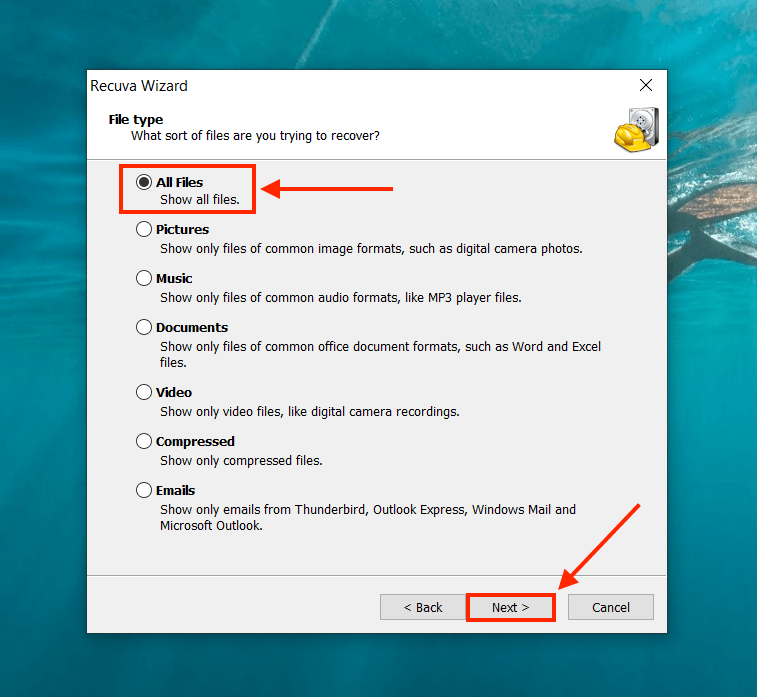 Recuva wizard file type selection screen