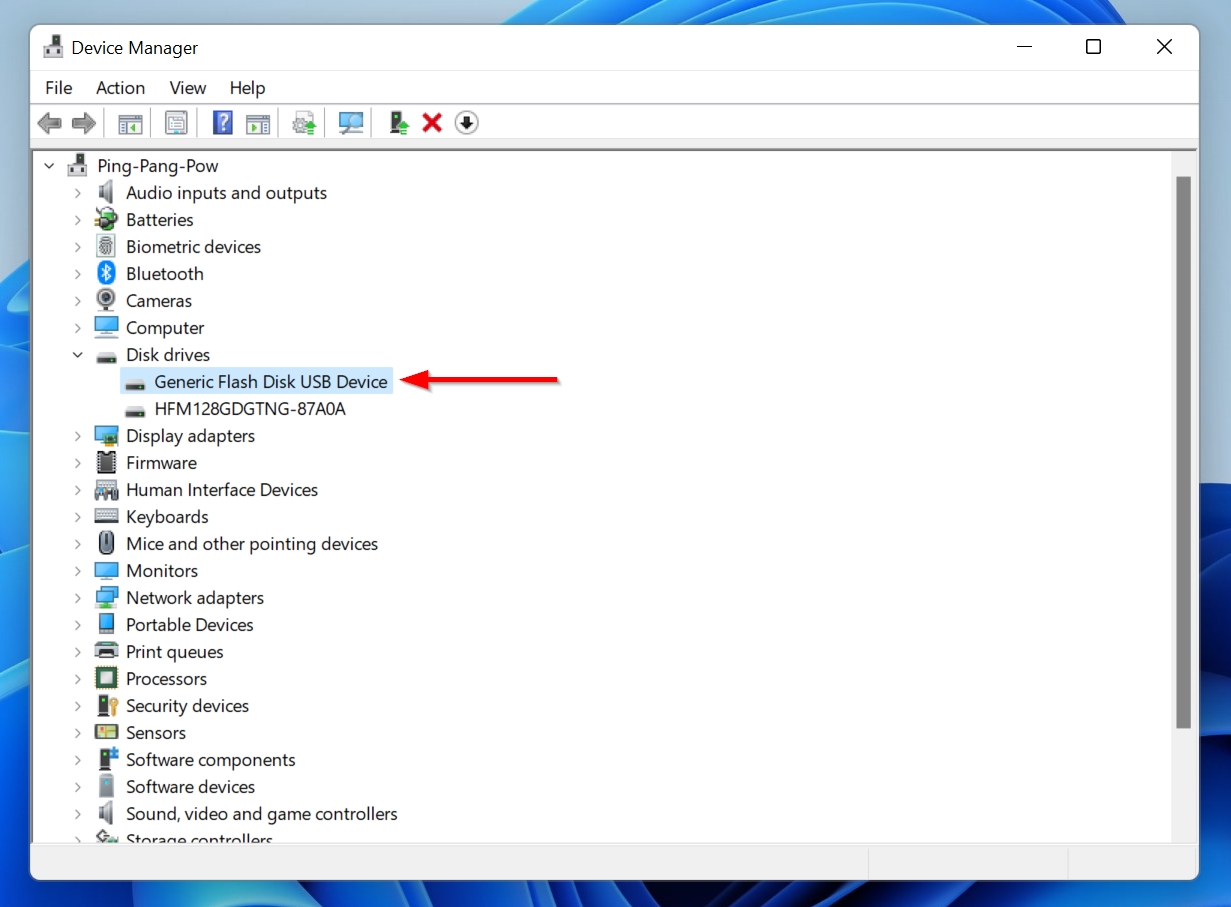 List of Disk Drives in Device Manager.
