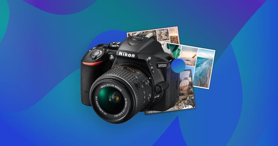 Recover Deleted Photos From a Nikon Camera