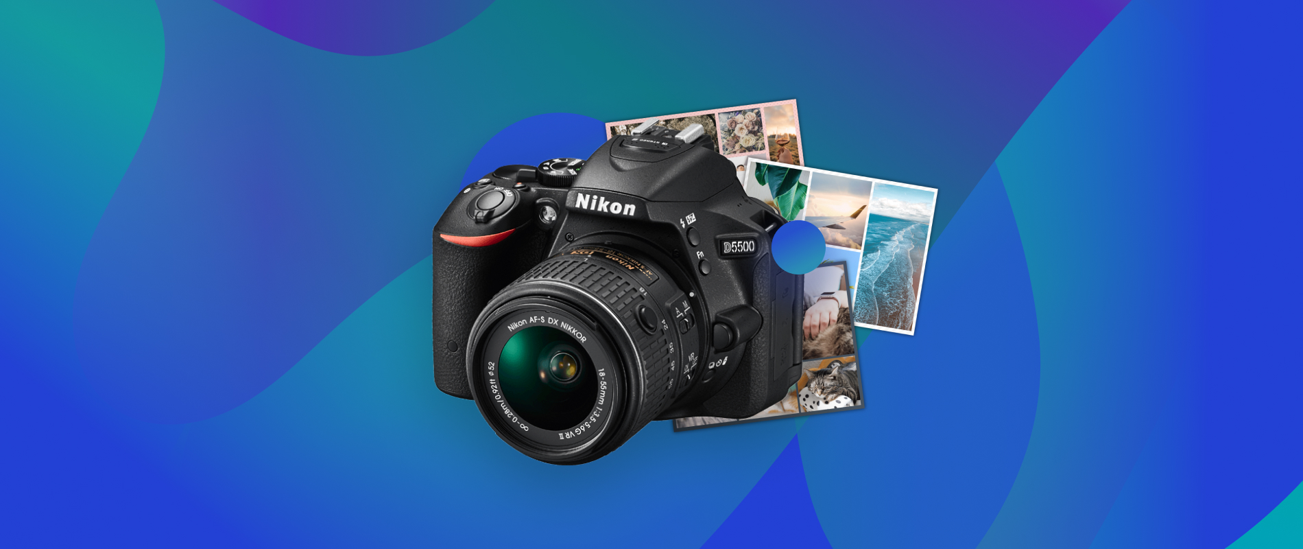 How to Download Nikon D3500 Photos & Videos to a Computer