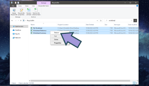 How to Recover Files Disappeared from Desktop on Windows 10 (2025)