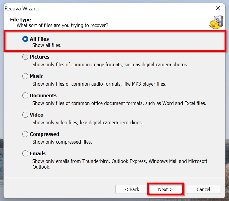 Select file type Recuva.