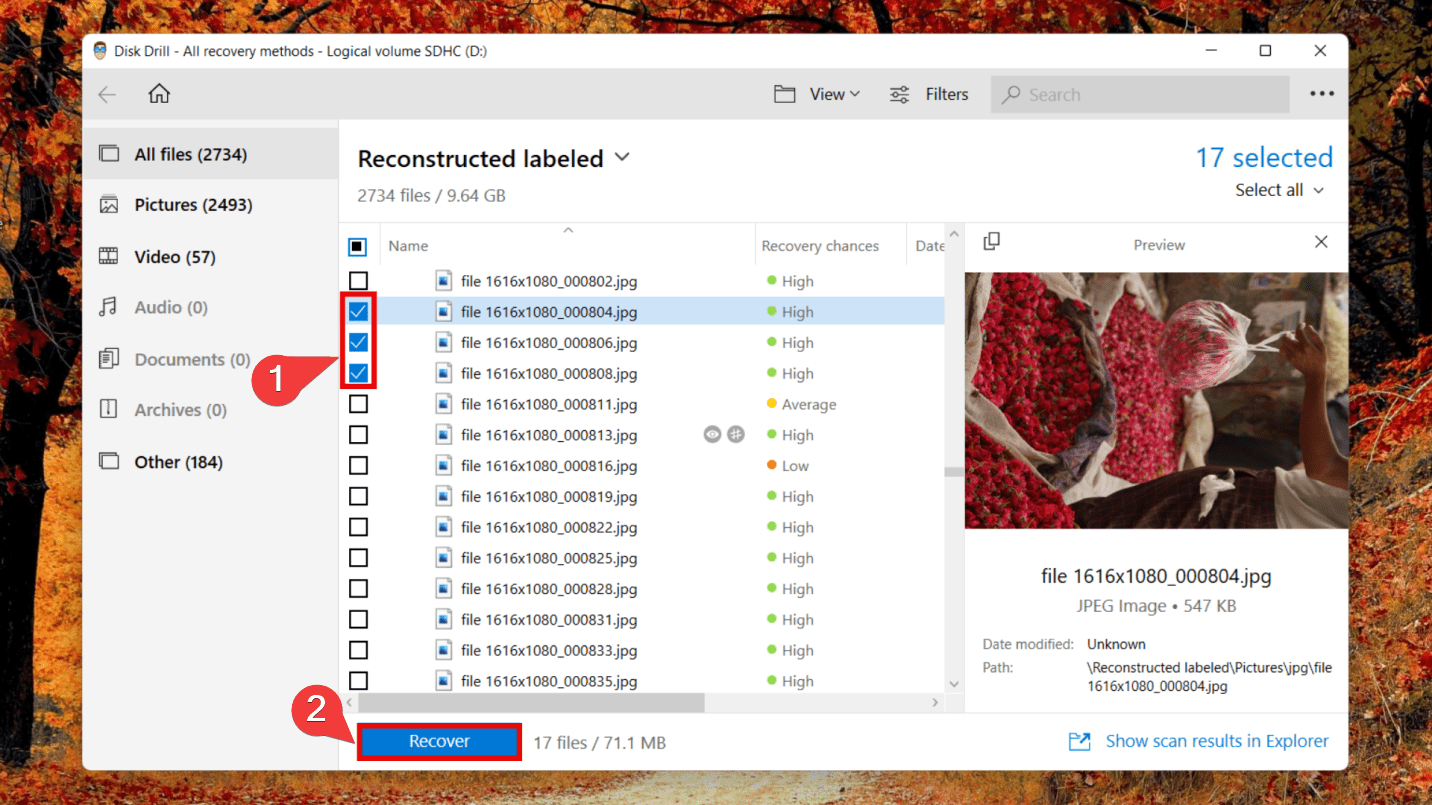 selecting files for recovery from sd card