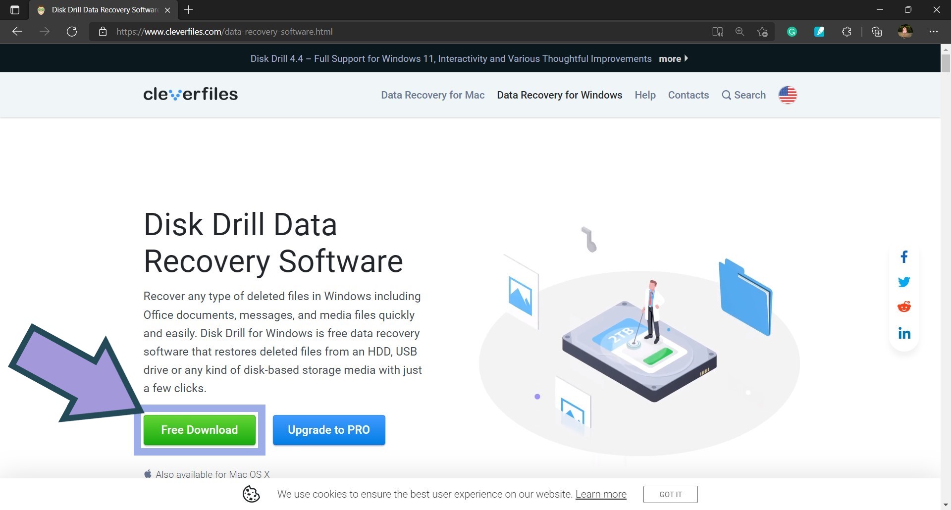 Download Disk Drill for Windows