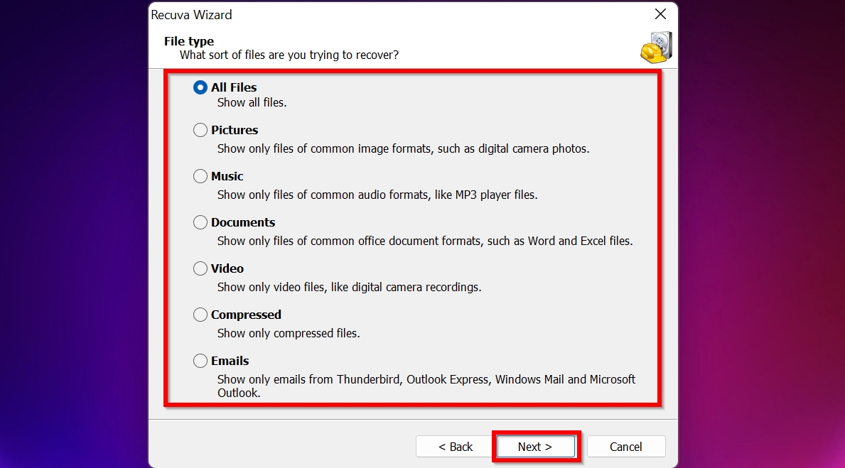File type selection screen in Recuva.