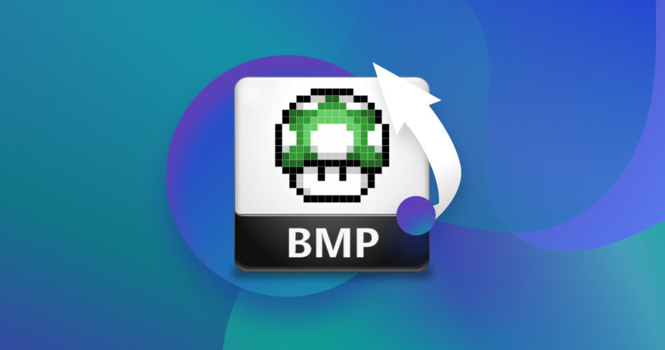 BMP File Recovery