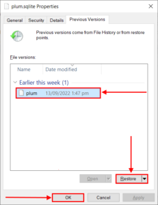 How to Restore a File to a Previous Version on Windows 10/11