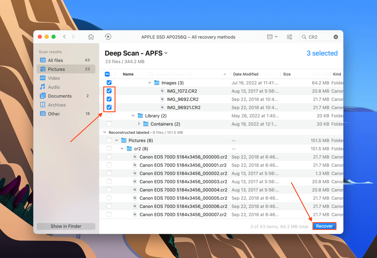 file selection window in Disk Drill