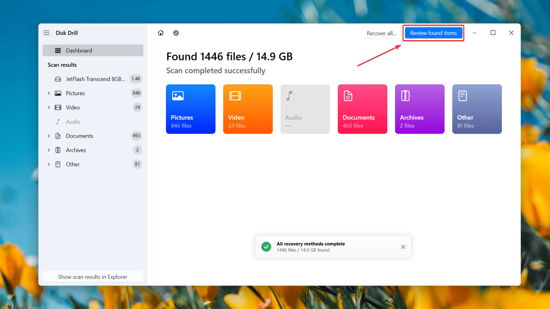 scan window on disk drill