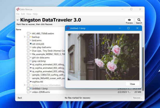 10 Best Data Recovery Software for Early 2026 (Including FREE)