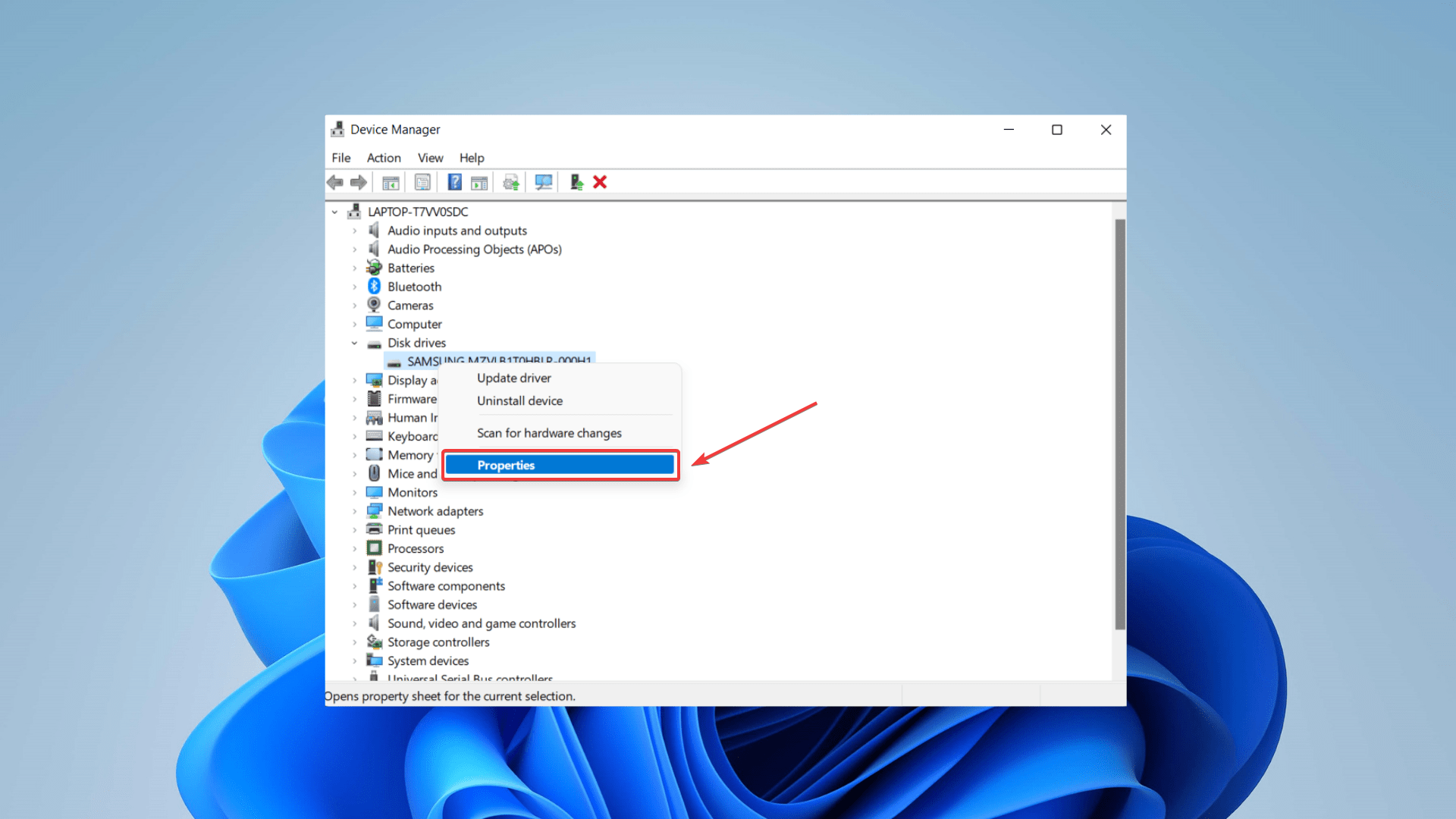 accessing properties on disk manager