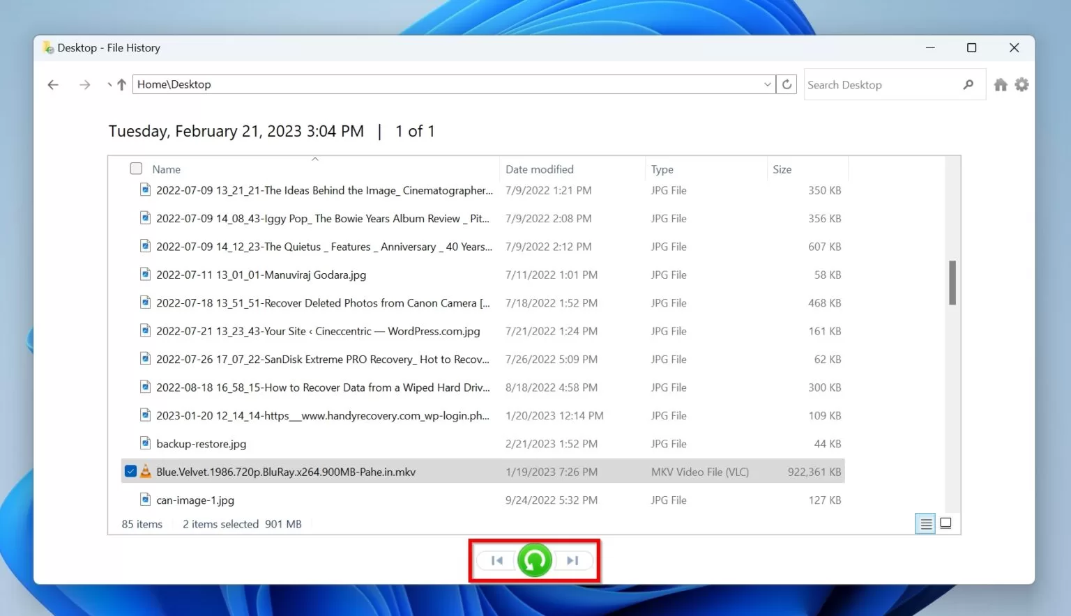 Restore Large File How to Recover Files Too Large for Recycle Bin (2025)