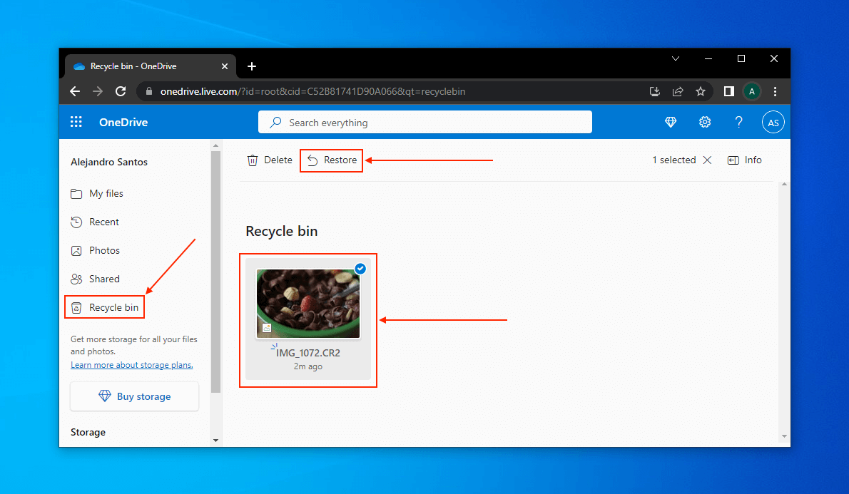 OneDrive's Recycle Bin folder