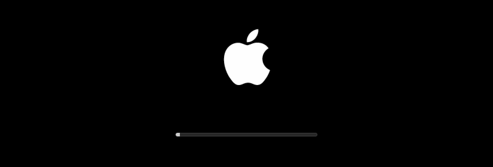 apple logo screen